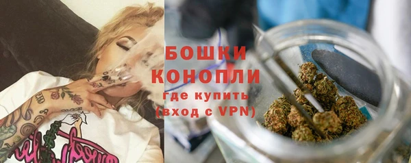 дмт Мегион