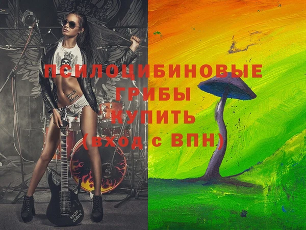 ПСИЛОЦИБИНОВЫЕ ГРИБЫ Медногорск