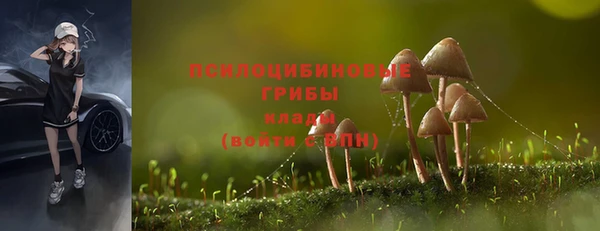 крисы Медвежьегорск