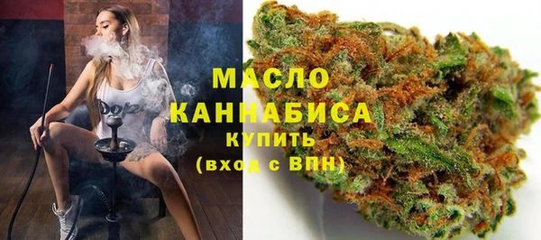 дмт Мегион