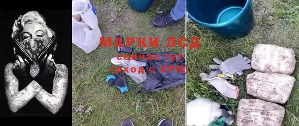 ПСИЛОЦИБИНОВЫЕ ГРИБЫ Медногорск