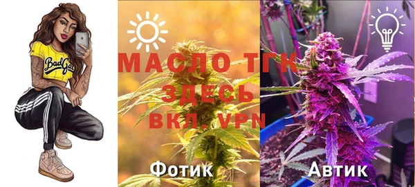 дмт Мегион