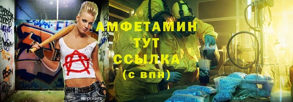 дмт Мегион