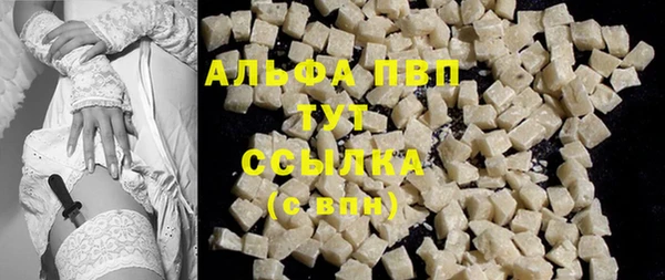 крисы Медвежьегорск