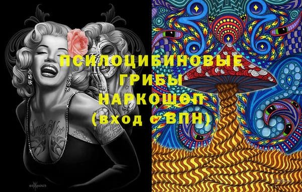 дмт Мегион